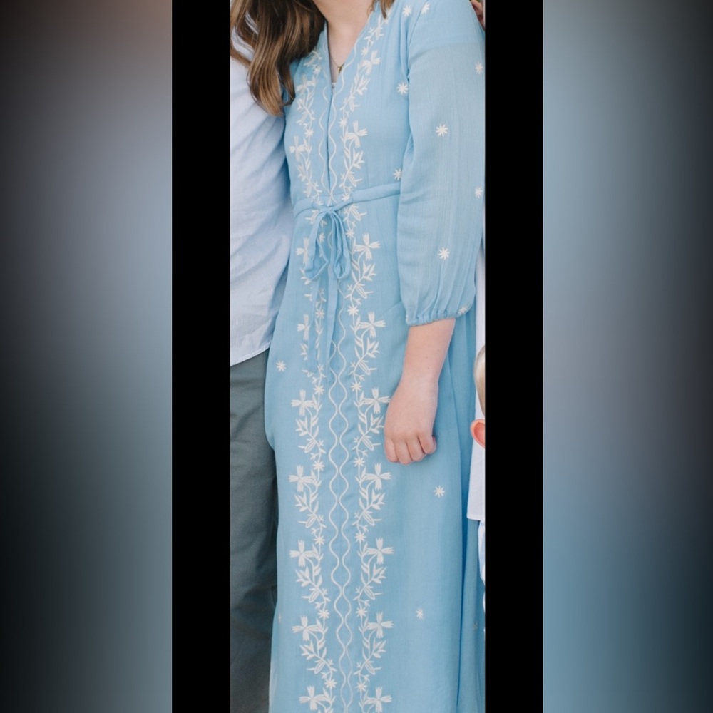 Blue Embroidered Brass & Roe Dress xs